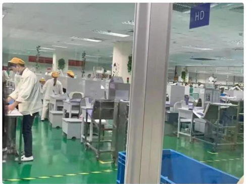 當醫學診斷“電子化” 護理學生被送電子廠的荒誕教育困局