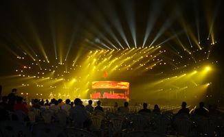 視覺設計機構甄選指南 賦能文化藝術交流與策劃